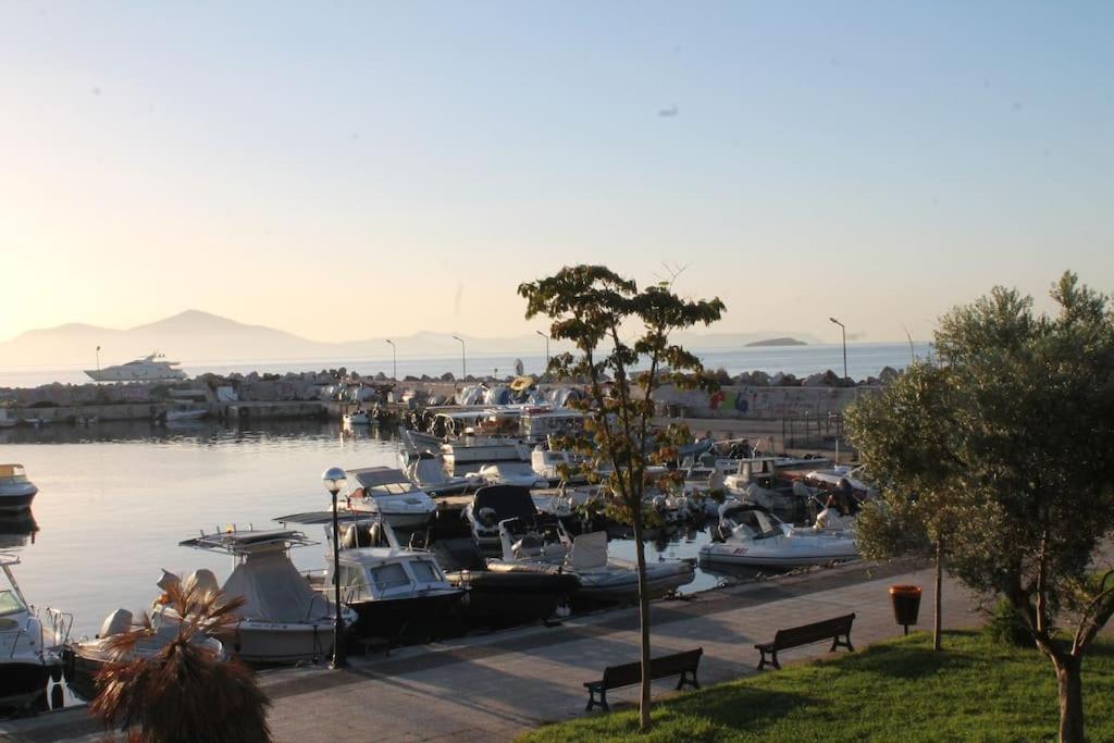 Riviera Coast
